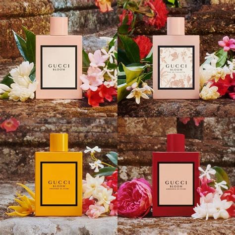 gucci bloom stores|gucci bloom perfume collection.